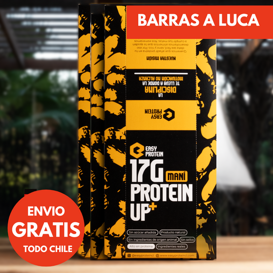 PACK 60 UNIDADES x PROTEIN UP MANI